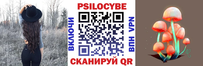 Галлюциногенные грибы мицелий  Купить закладки  Болохово 